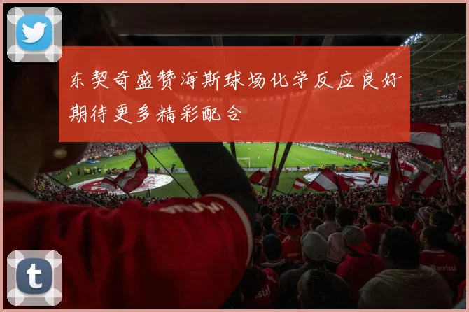 东契奇盛赞海斯球场化学反应良好期待更多精彩配合