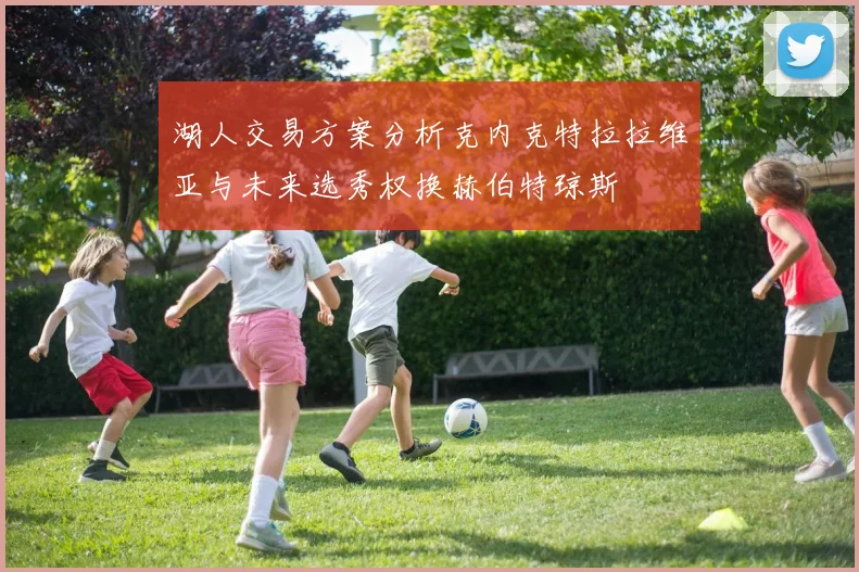 湖人交易方案分析克内克特拉拉维亚与未来选秀权换赫伯特琼斯